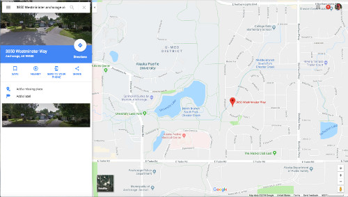 Google Maps link