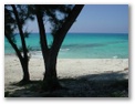 Bimini